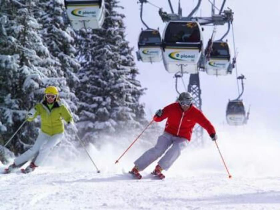 Sunrise Apartment Schladming Esterno foto